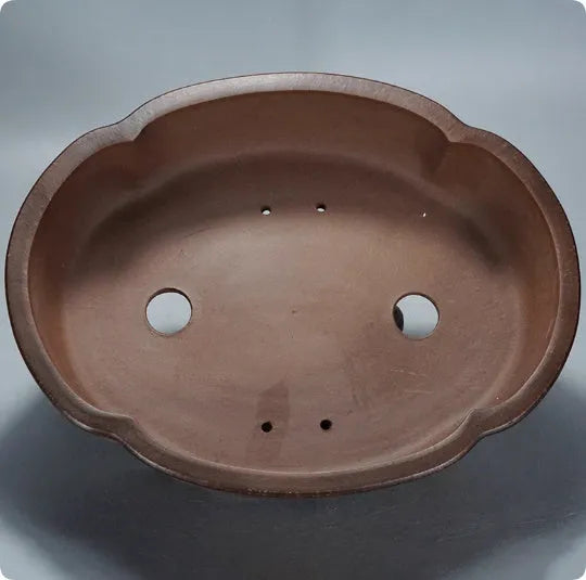 Green classical purple clay bonsai pot with low-profile rectangular shape on a tabletop.