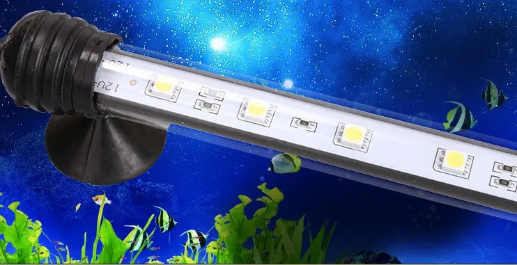LED aquarium submersible lamp with blue light underwater in fish tank showing fish and rocks