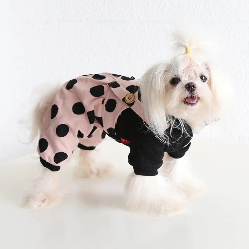 Pet clothing with lapel collar and shoulder strap fastenings in casual cloth design