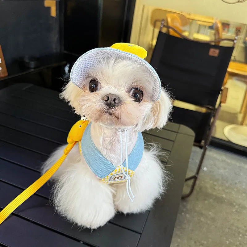 Three-piece cat clothes set showing harness, leash with wire rope, and cute hat for outdoor walks