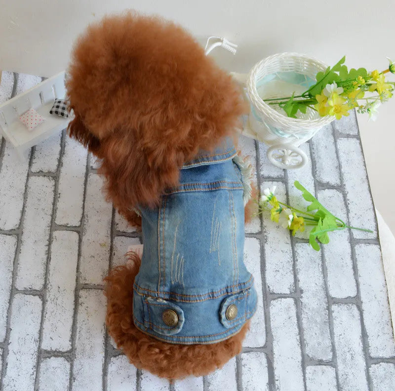 Retro scratch pattern denim dog vest on a model dog, showing dark wash colour and European style cut.