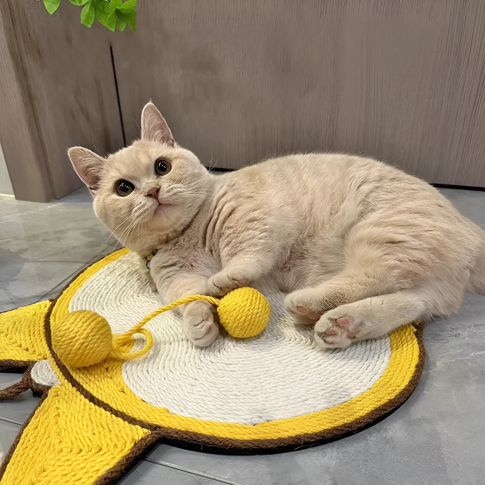 Yellow corgi butt design cat scratching pad with natural sisal surface on anti-slip base