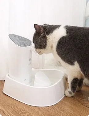 Pet water dispenser with quadruple filtration and silent pump, 1.8L capacity, made from high-brightness PP resin
