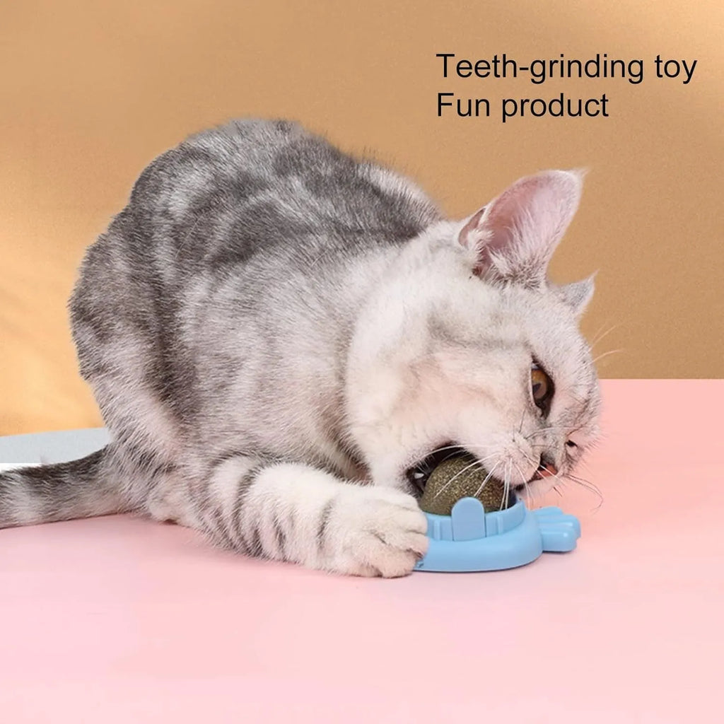 Blue carrot-shaped self-adhesive catnip ball toy for cats on a white wall.