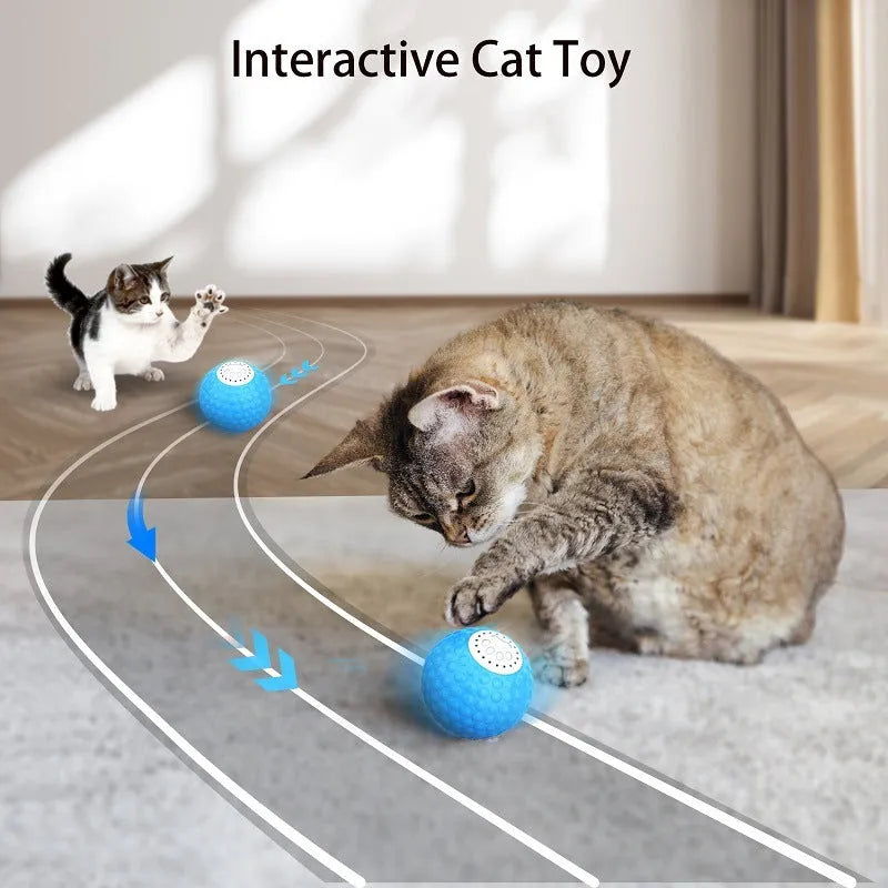Remote control cat ball toy in blue colour with rolling movement