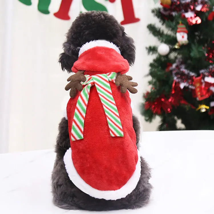 Red coral velvet Christmas dog t-shirt with tree and deer print and green scarf on light background