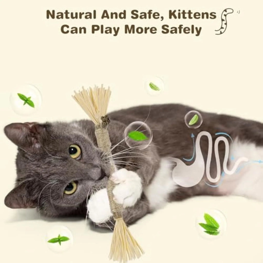 Three natural silvervine chew sticks for cats on a wooden surface, showing thick and fine diameter options