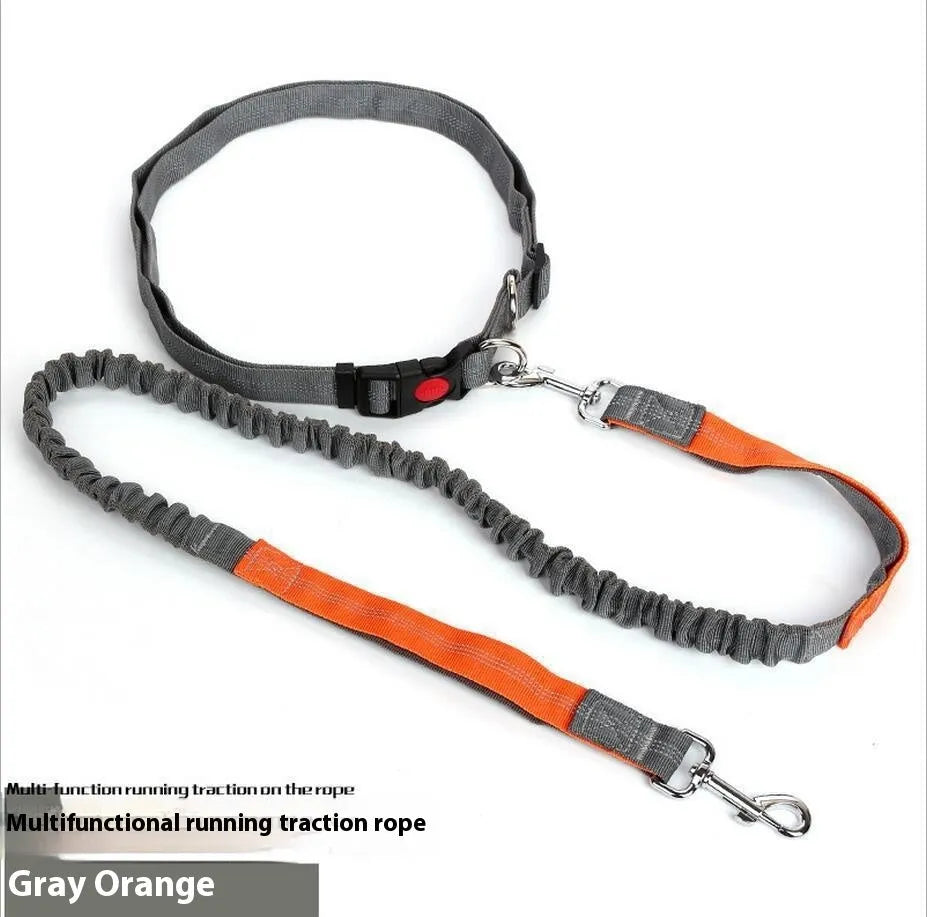 Reflective dog leash with elastic sling in two-tone colours for night walking