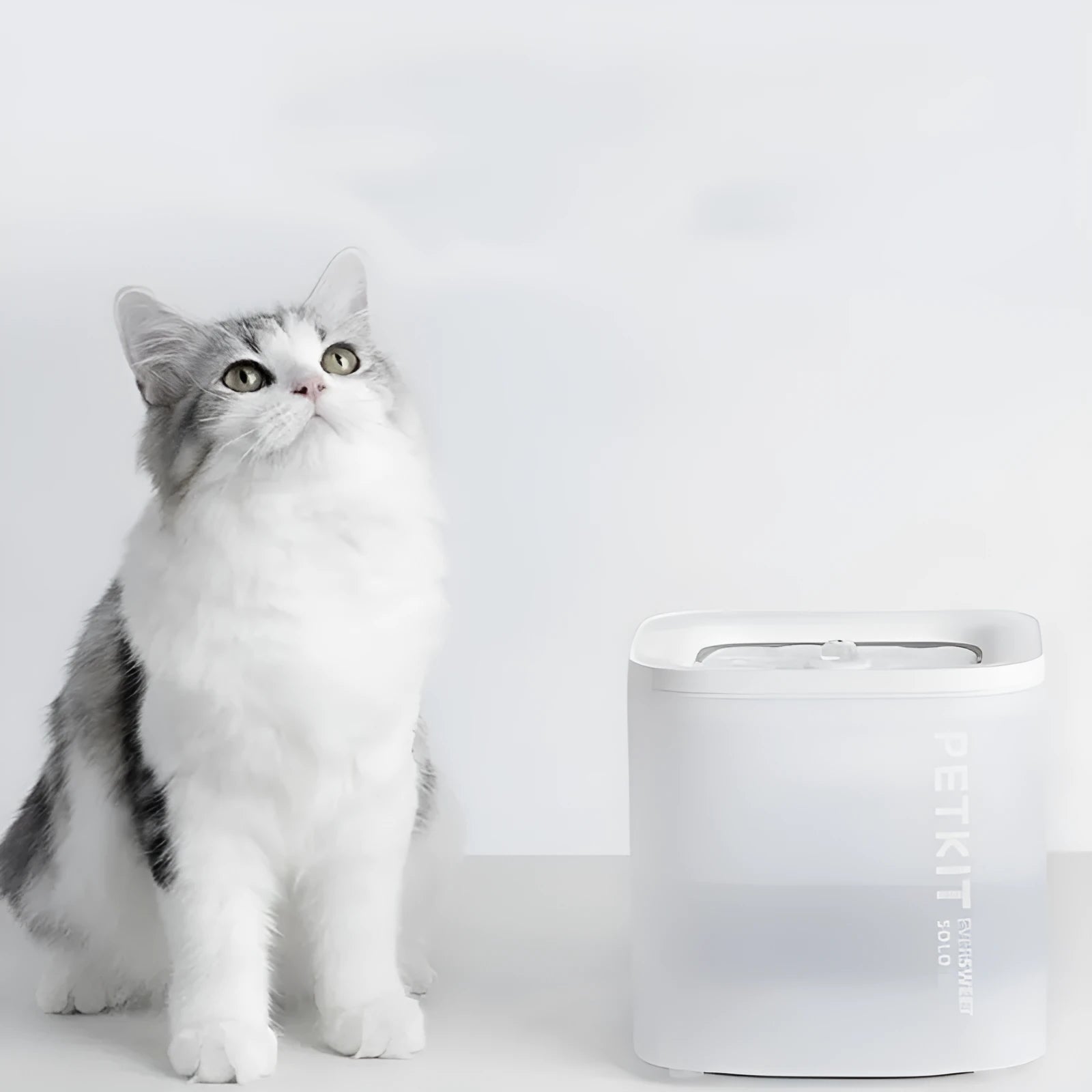 Xiaopei SOLO 2 smart pet water dispenser with wireless filtration system for cats and dogs