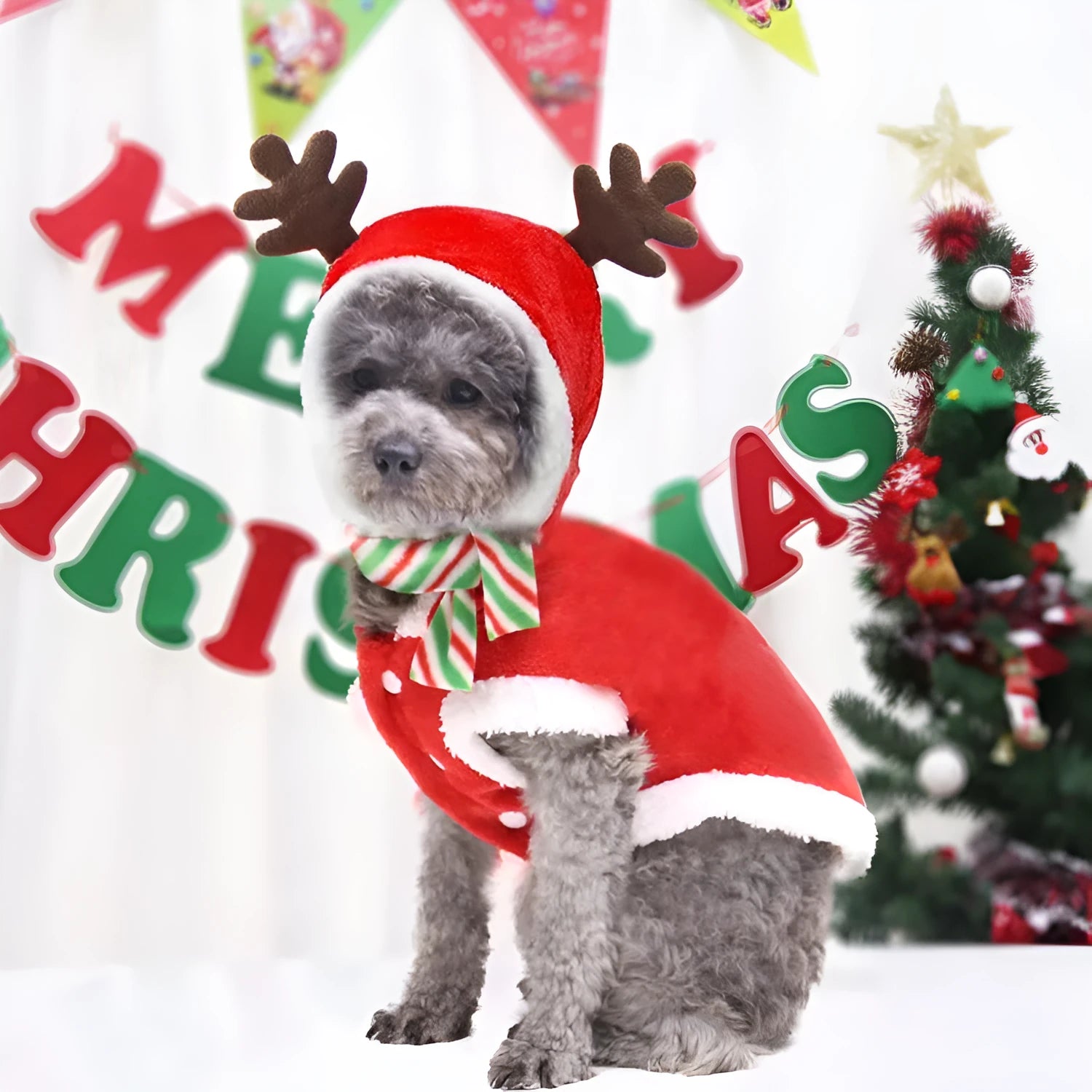 Red coral velvet Christmas dog t-shirt with tree and deer print and green scarf on light background