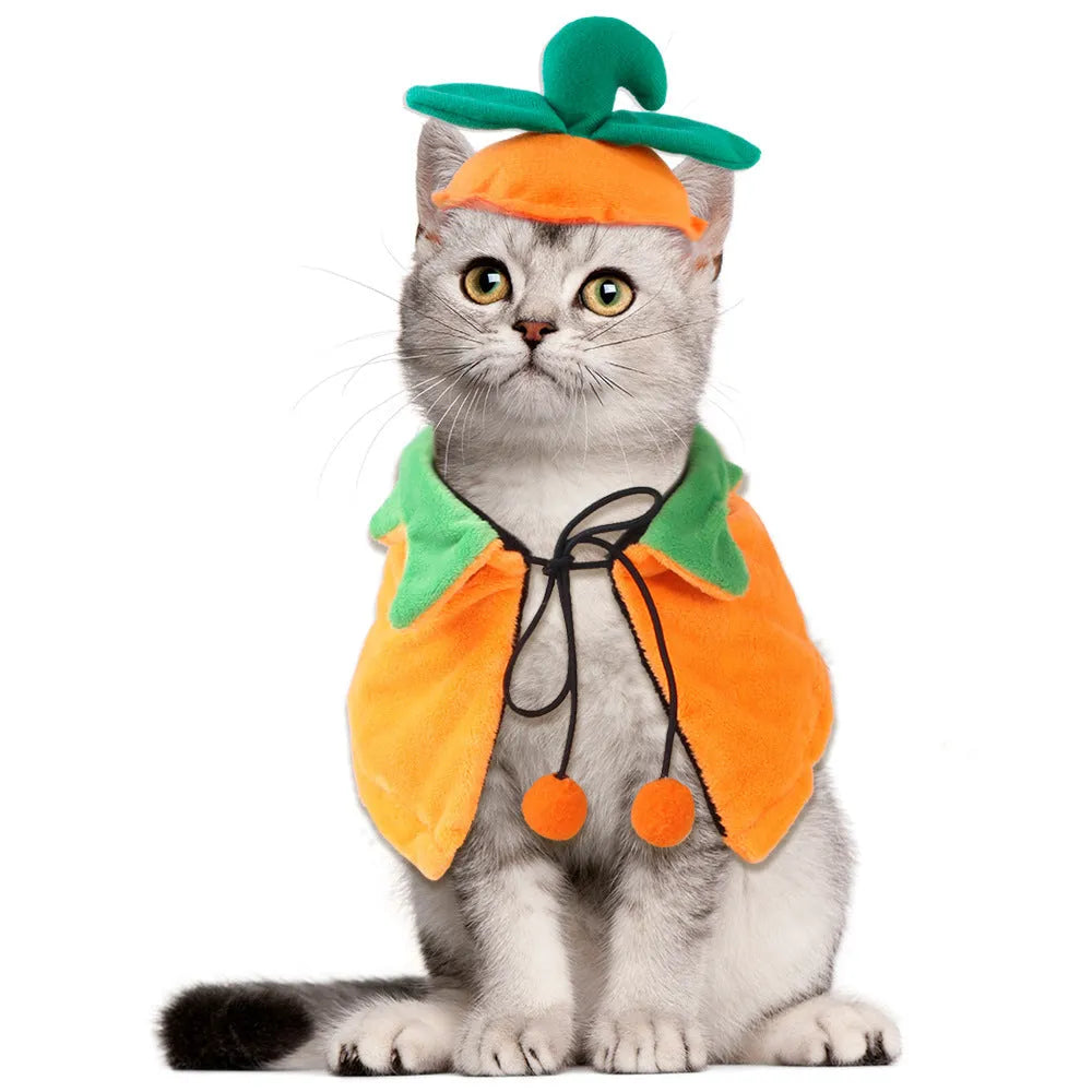 Pumpkin-themed double-sided plush cloak for dogs and cats Halloween costume