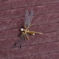Golden dragonfly-shaped side clip headdress for women's hair, made from alloy with an electroplated finish.