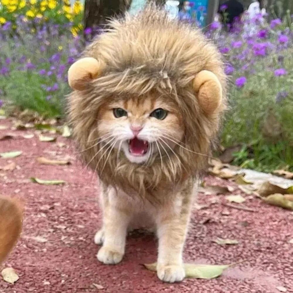 A cat wearing a brown lion mane wig with plush ears and an adjustable strap.