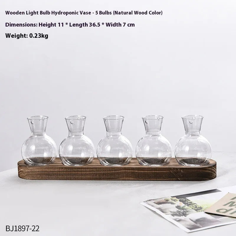 Transparent hydroponic vases in wooden frame holder for plant propagation