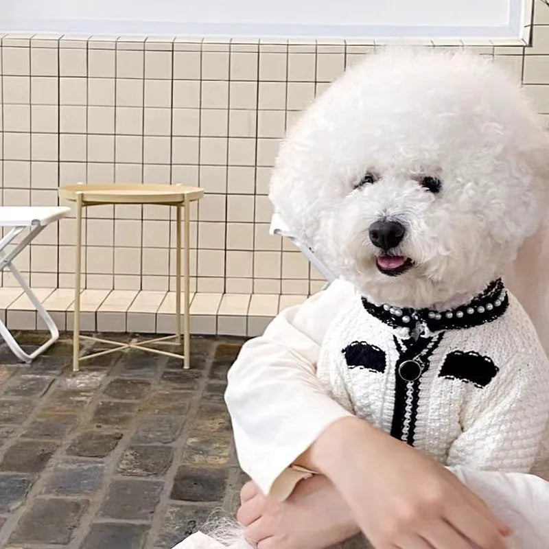 Korean style pearl collar dog sweater in black and white colours showing Princess design for small dogs
