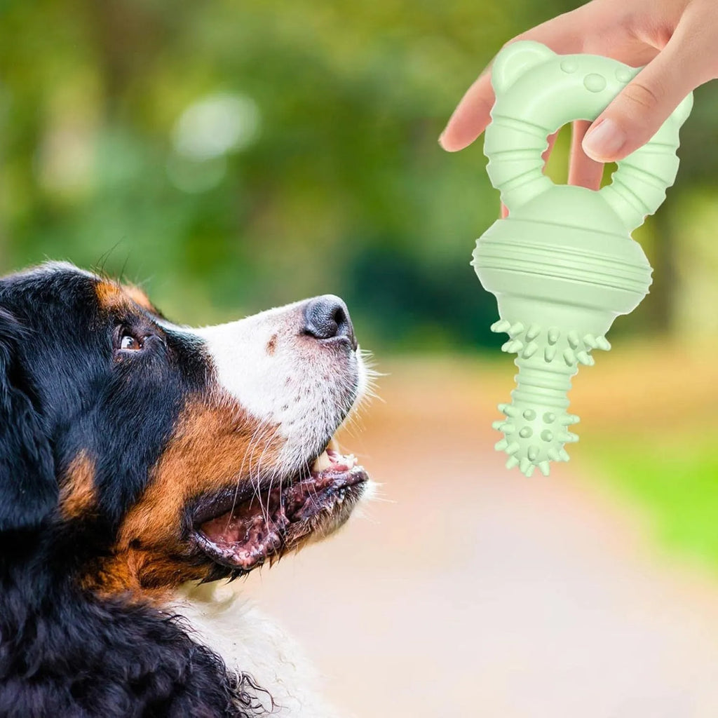 Blue rubber dog chew toy with textured surface for dental cleaning