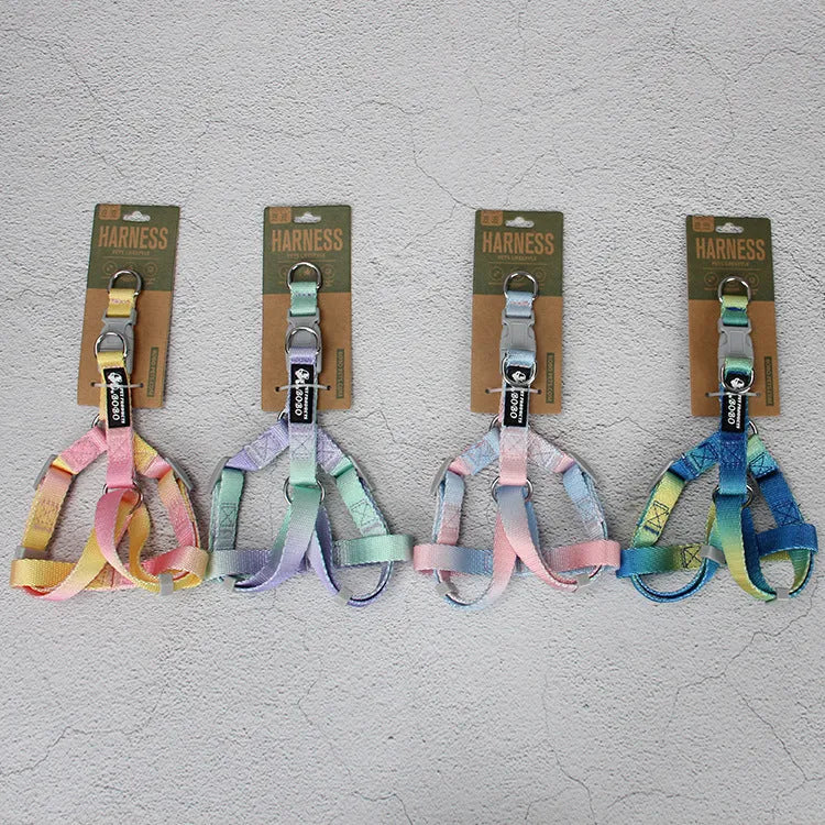 Nylon dog leash and harness set in pink and blue gradient colour, showing collar, leash, and chest strap components.