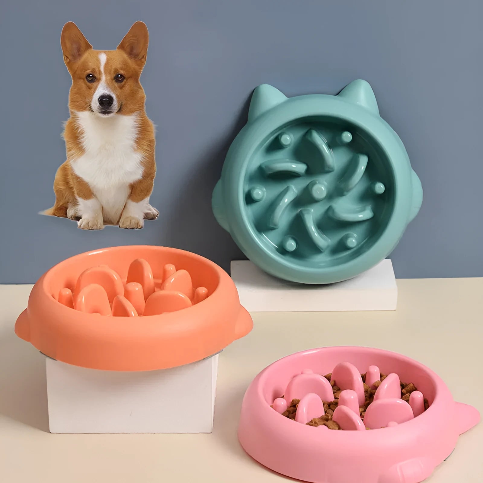 Green pet slow feeder bowl with bone-shaped ridges inside to slow down eating