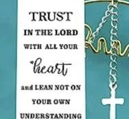 Stainless steel European style bookmark in CF-S5170 steel colour on an open book.