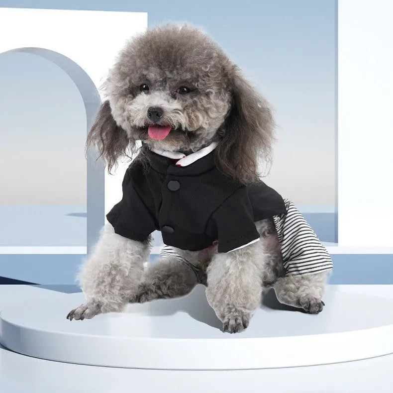 Cotton poodle dog clothes in skirt and four-legged pants styles for spring and autumn seasons