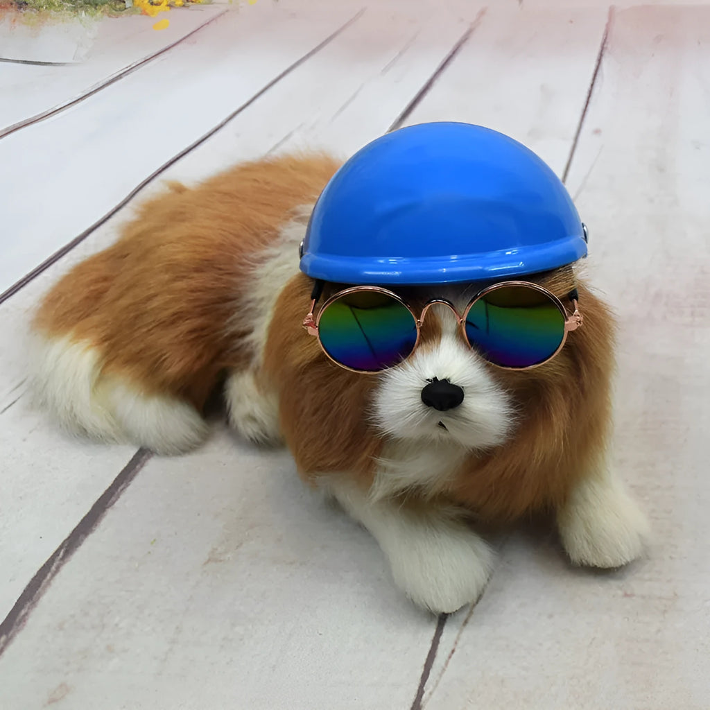 Dog wearing plastic motorcycle cap helmet in Japanese South Korean style, solid colour with paint surface treatment