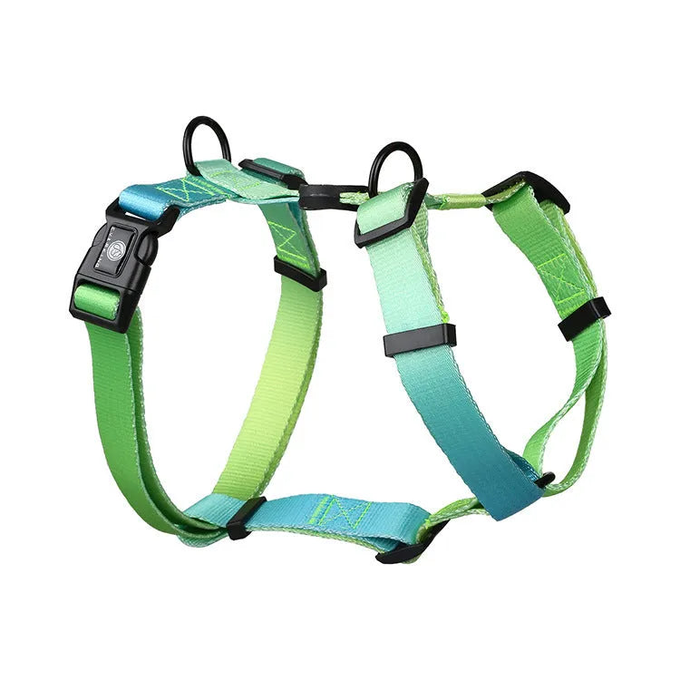 Gradient colour pet chest strap harness showing four pattern options for dog walking