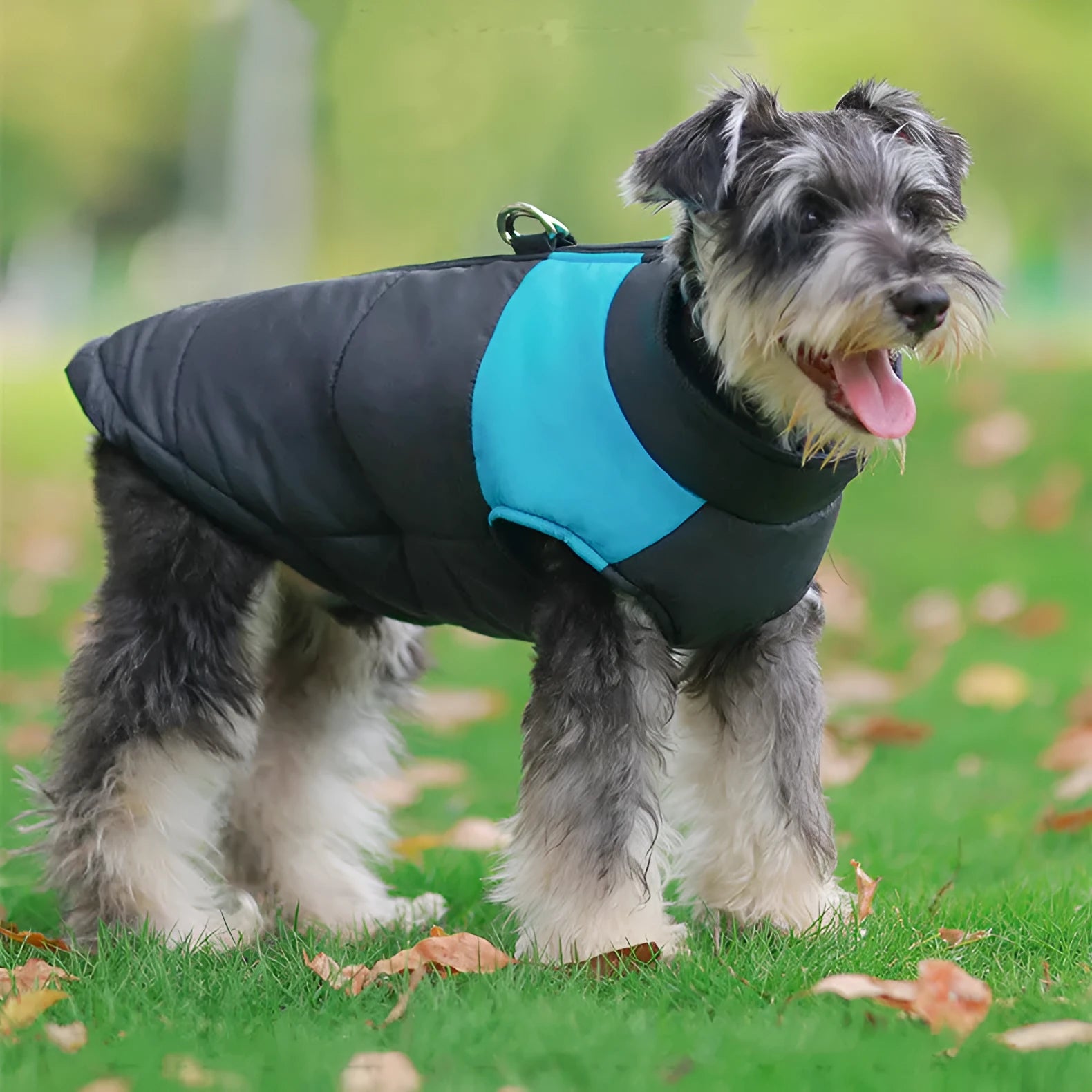 Winter warm thicken dog clothes cotton pullover sweatshirt in blue for small to large dogs