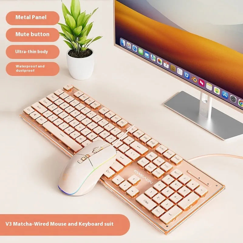 Prewalker V3 silent keyboard and mouse set in retro green colour on a desk.