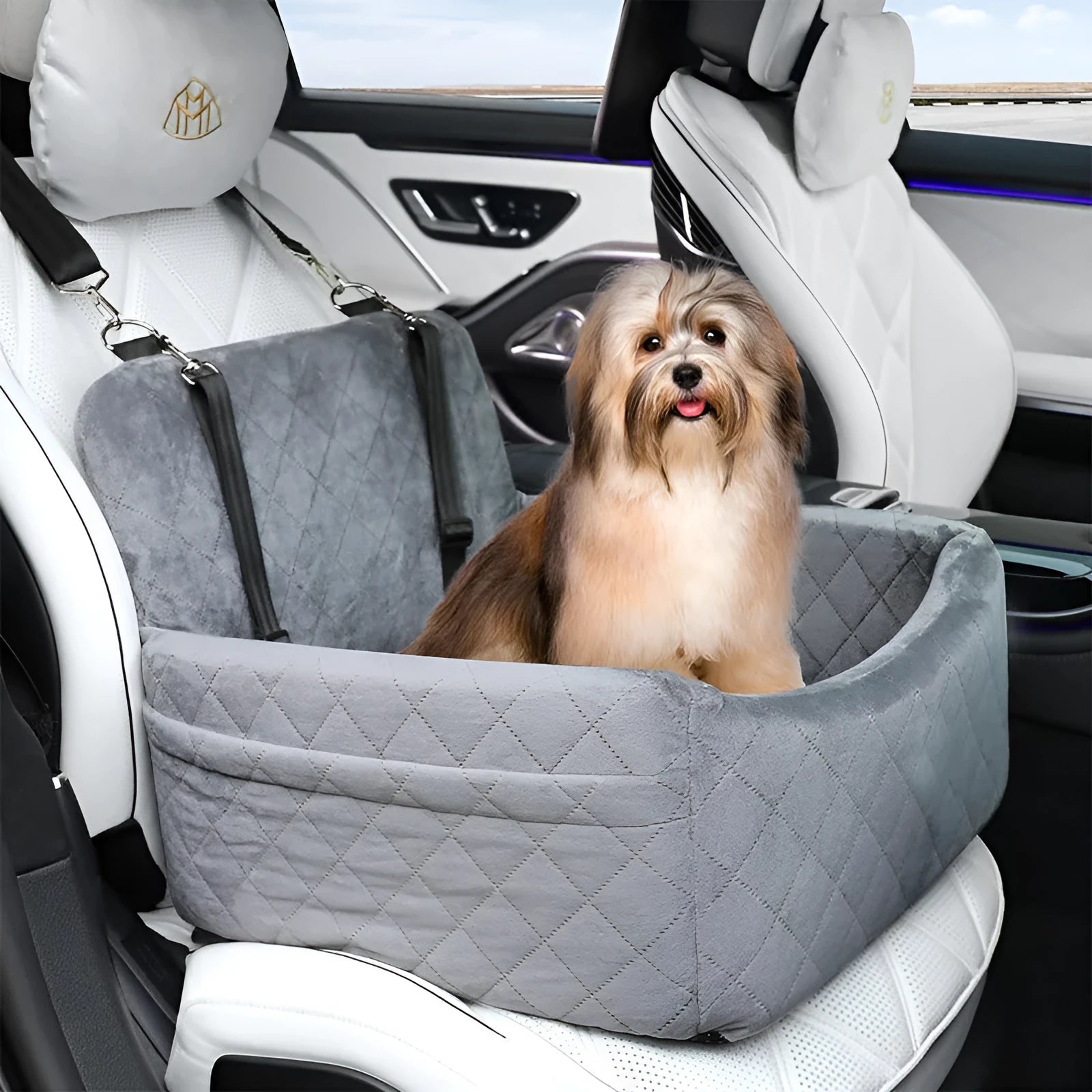 Black pet car mat made of Holland Velvet with dimensions 48x48x13cm on a car rear seat