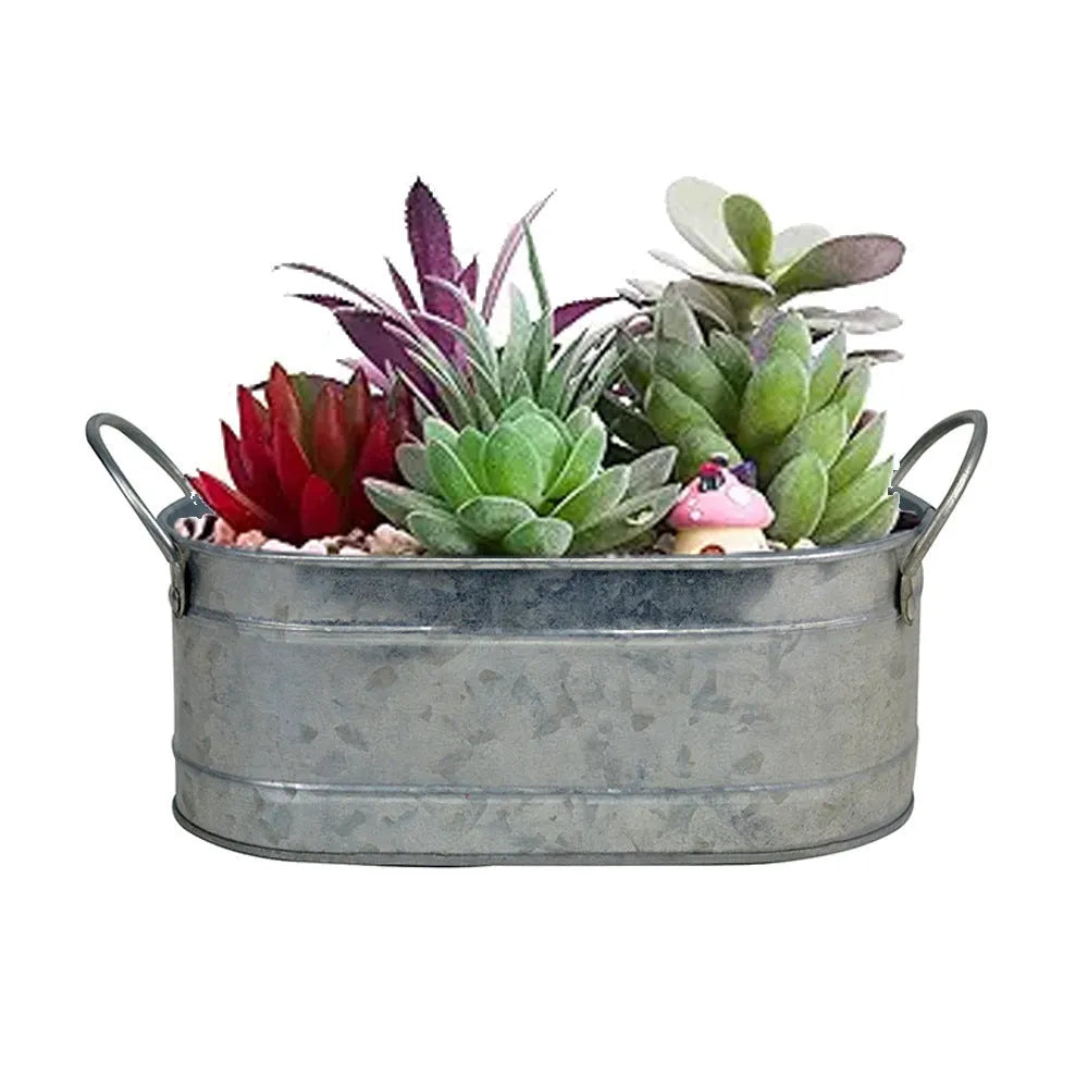Desktop iron flower pot for succulent plants with corrosion-resistant finish