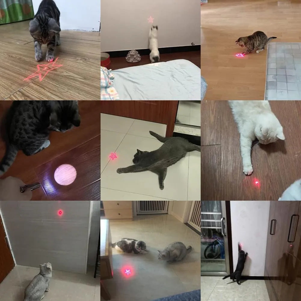 USB rechargeable infrared cat teaser toy with keychain attachment and LED light