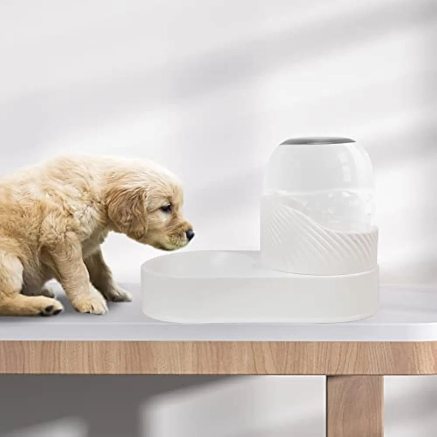 White automatic cat feeder and water dispenser set with wave-shaped design.