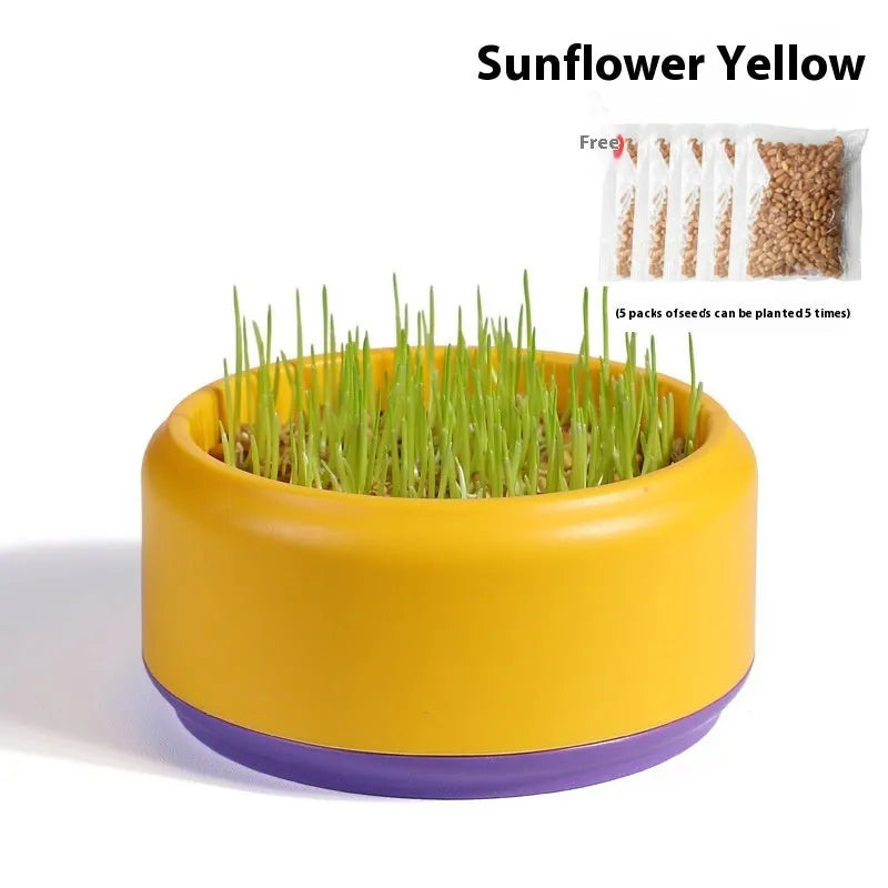 Hydroponic cat grass kit with blue growing cup and wheatgrass seeds for indoor planting