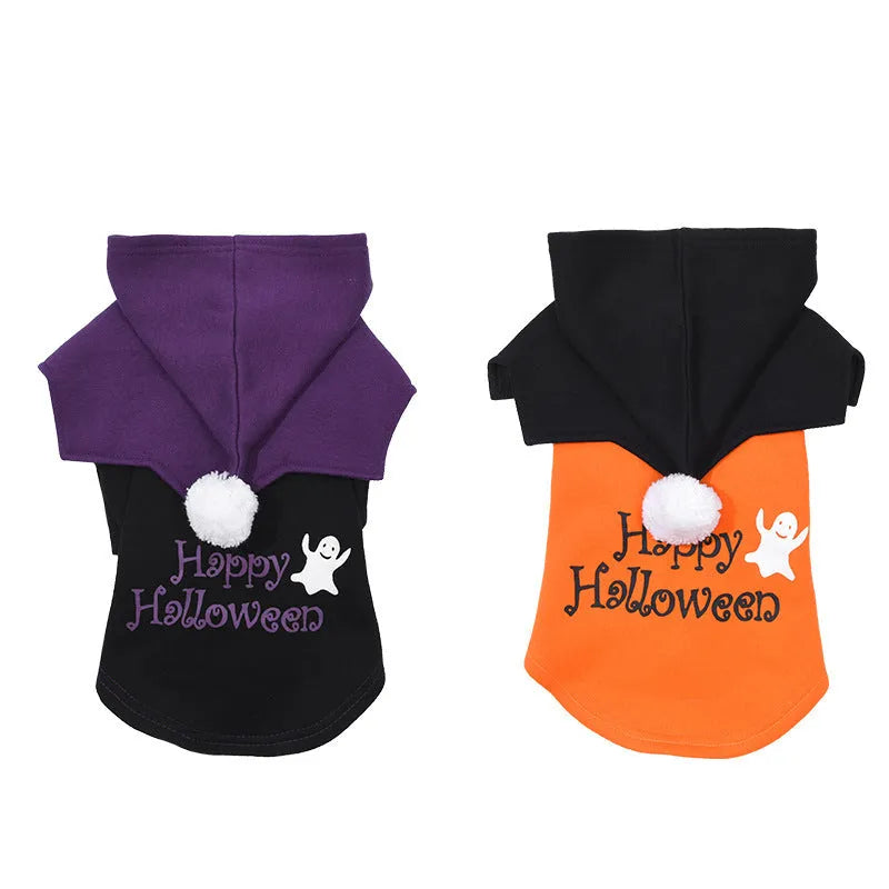 Halloween pumpkin costume on dog showing black and orange cotton sweater with matching shawl