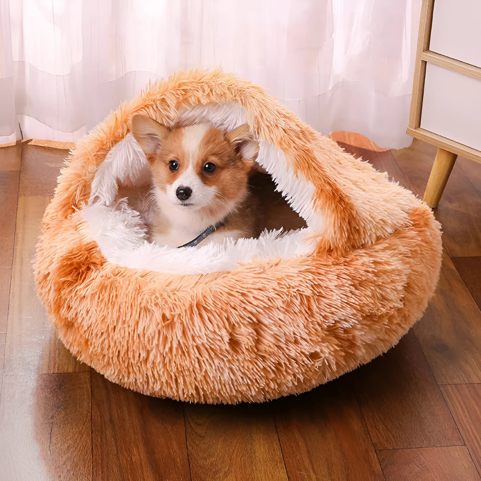 Waterproof cloth dog kennel in a semi-surrounded design shown in a gradient colour.