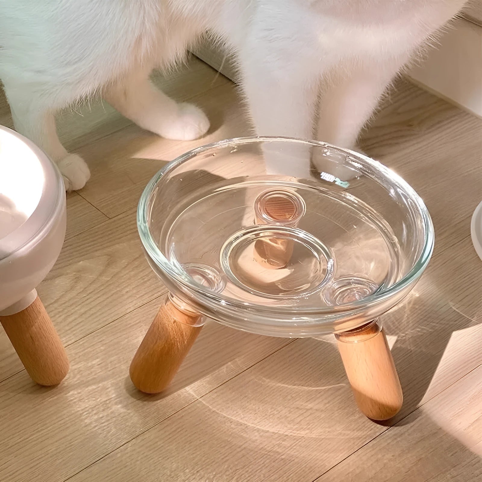 Pet bowl stand with glass bowl on light-coloured plastic shelf for cervical protection suitable for cats and dogs