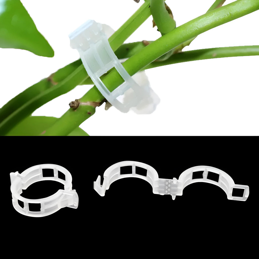50 piece pack of plastic plant grafting clips for tomato vine and garden support