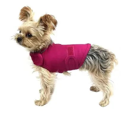 Dog wearing brocade cotton calming tank top in light grey colour for anxiety relief