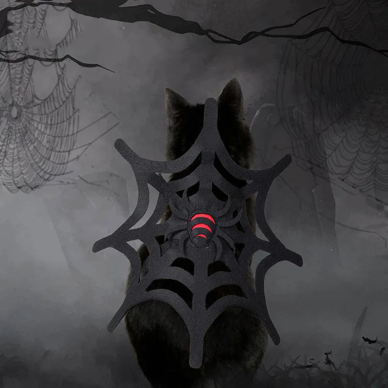 Black felt cloth Halloween pet costume with spider web makeover on a cat