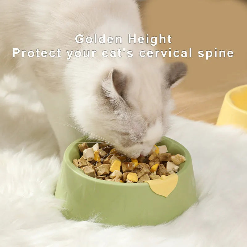 Green plastic double pet bowl feeder for dogs and cats on a white background