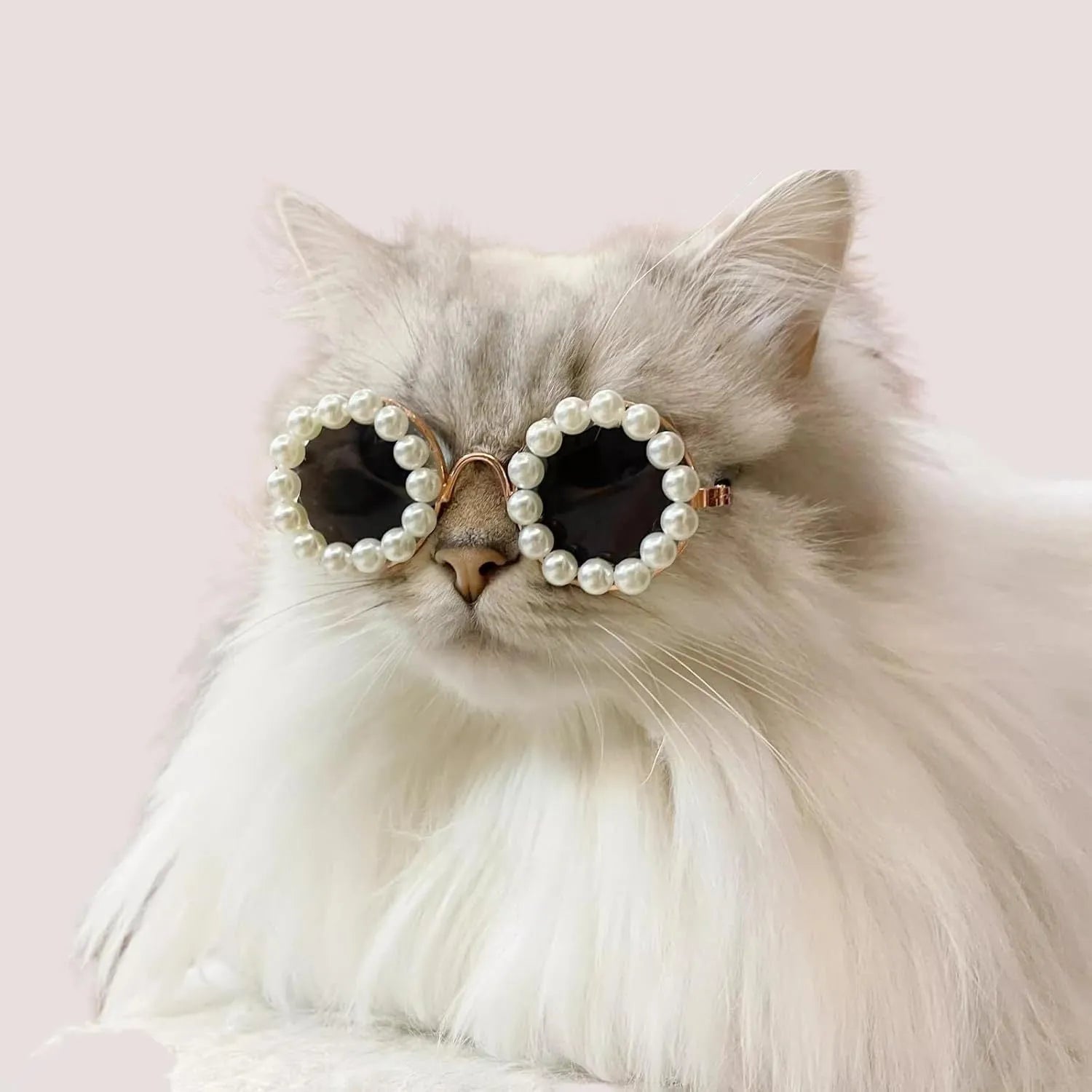 Pearl-rimmed round sunglasses for cats and dogs in multiple colours on a pink background.