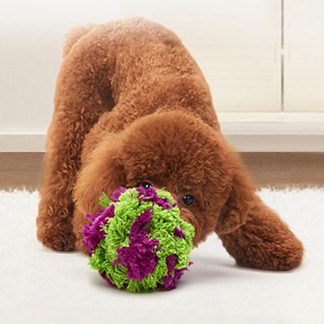 Purple plush dog seaweed ball toy with knotted design for chewing and fetch games
