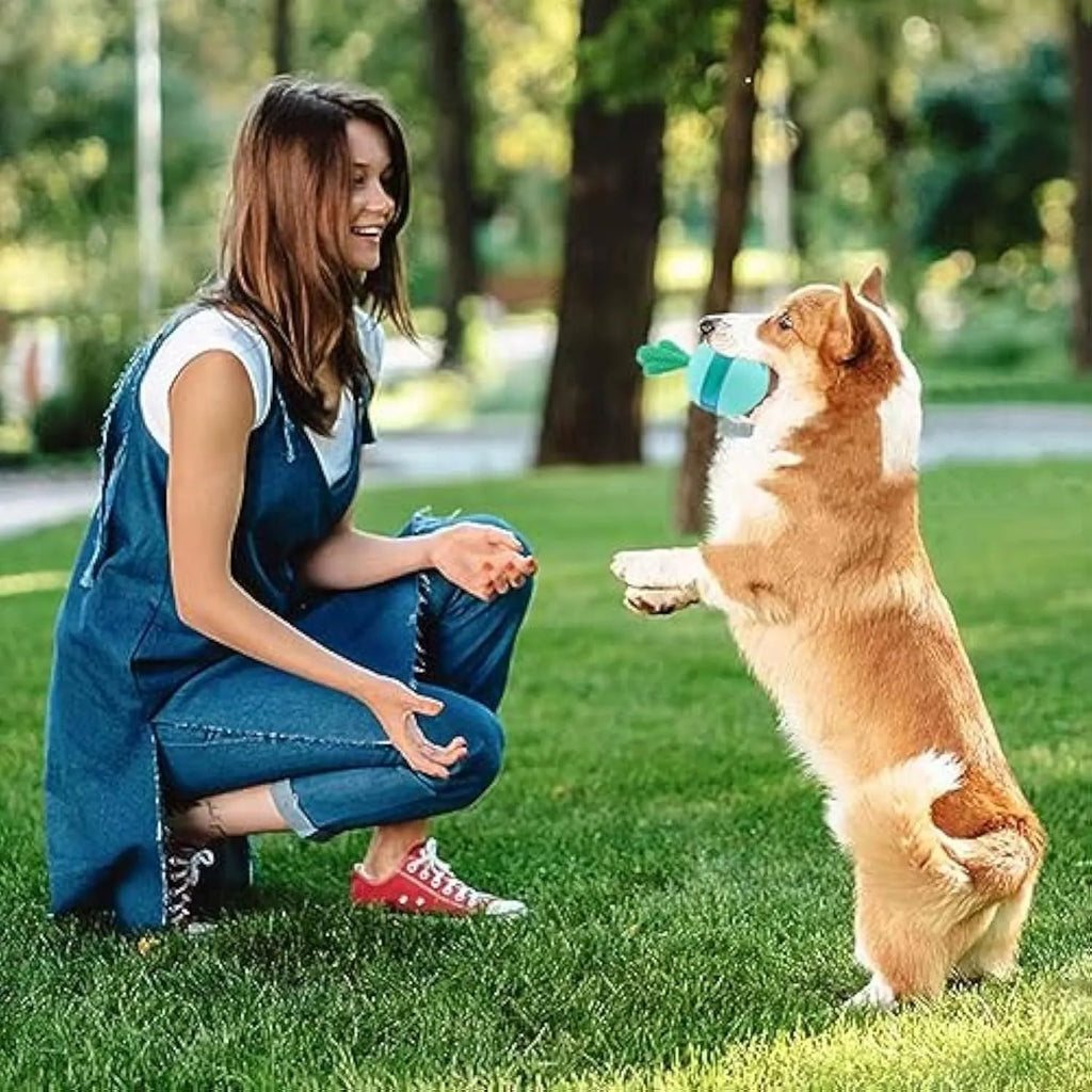 Blue durable rubber treat dispensing dog toy ball for medium and large dogs