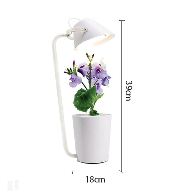 White plastic desktop hydroponic growing system for soilless plant cultivation