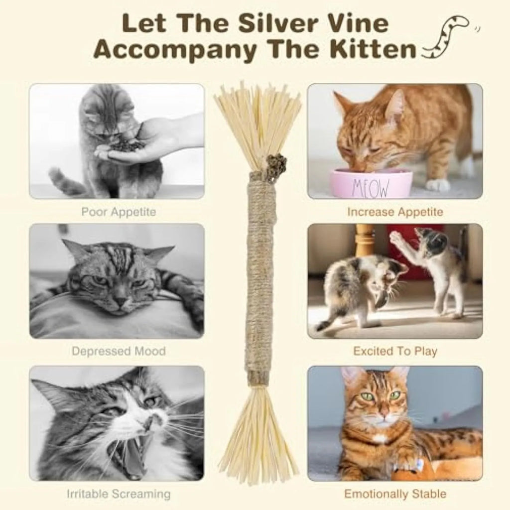Three natural silvervine chew sticks for cats on a wooden surface, showing thick and fine diameter options