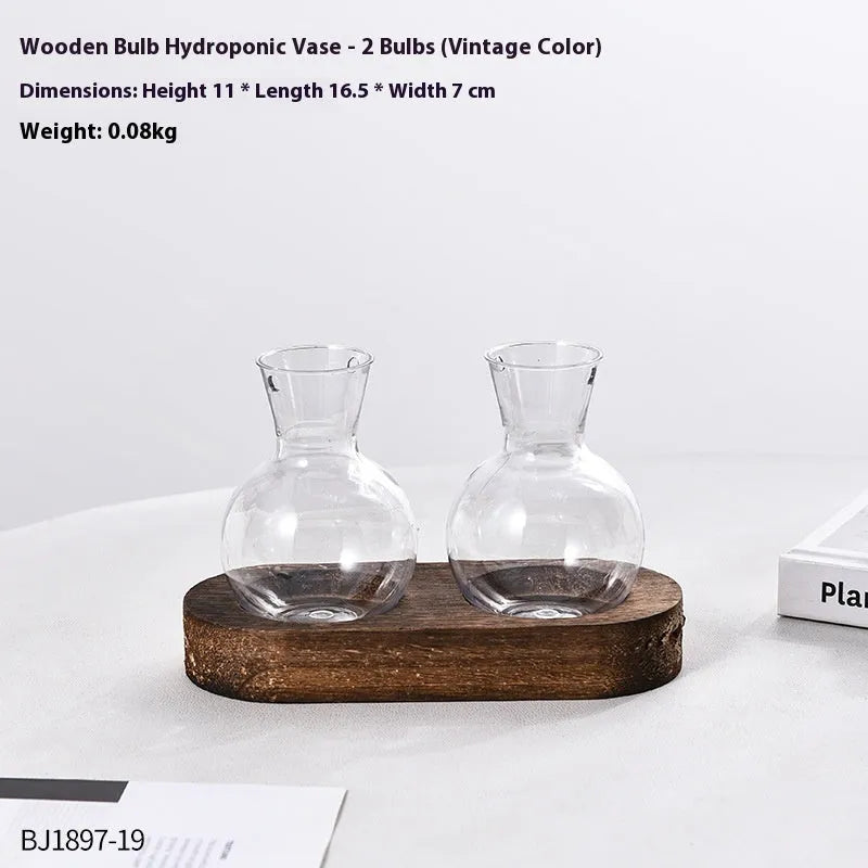 Transparent hydroponic vases in wooden frame holder for plant propagation