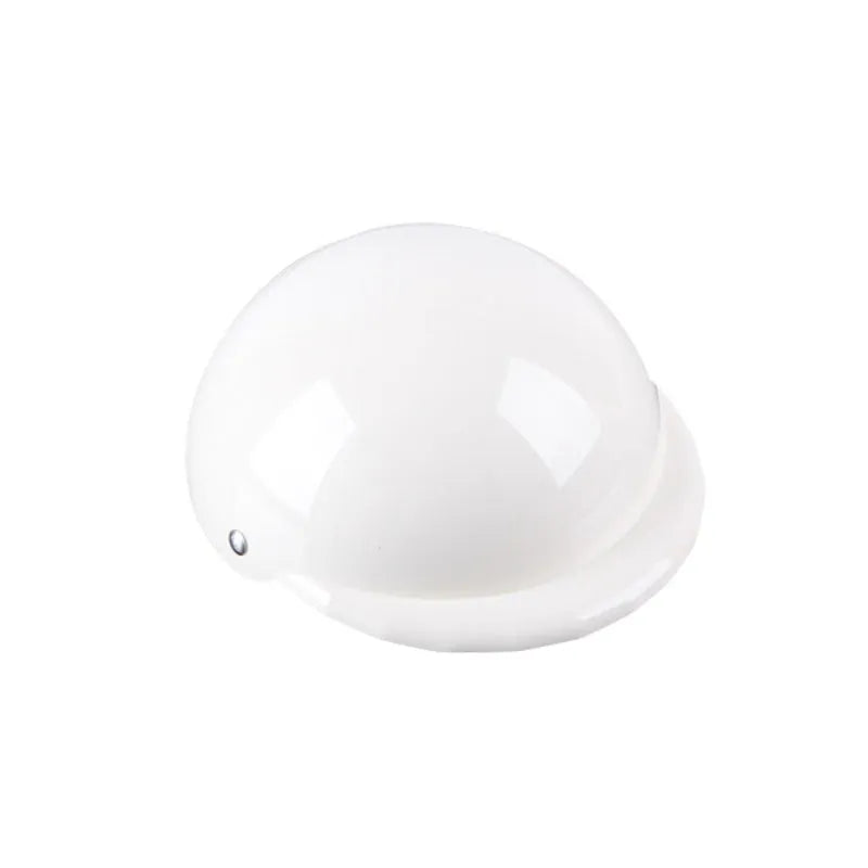 Dog wearing plastic motorcycle cap helmet in Japanese South Korean style, solid colour with paint surface treatment