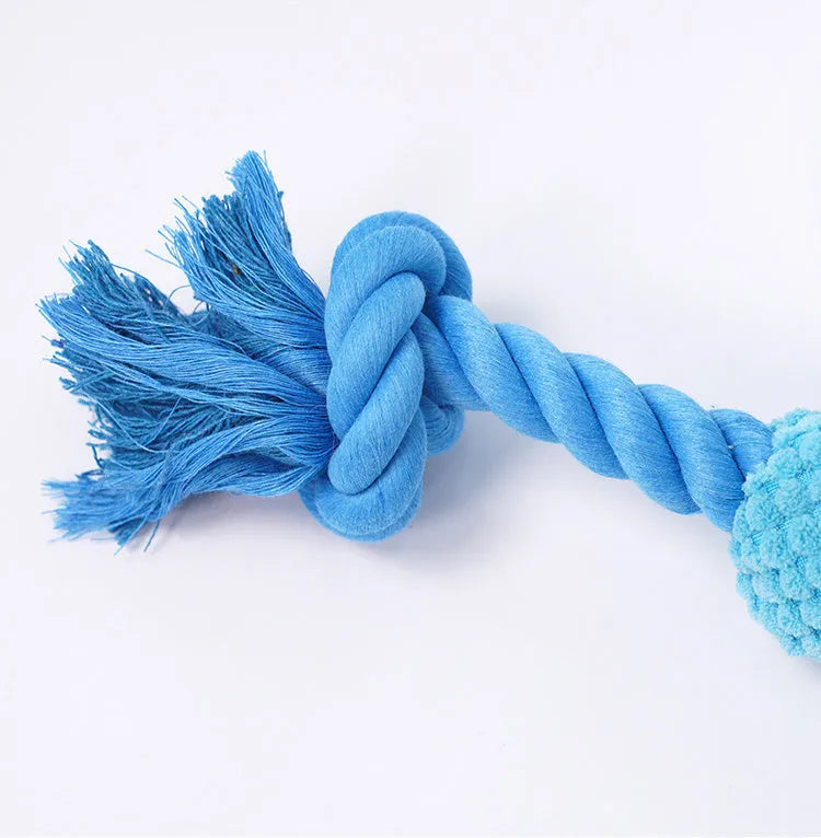 Blue corn kernel TPR dog squeaky toy with cotton rope tail on white background
