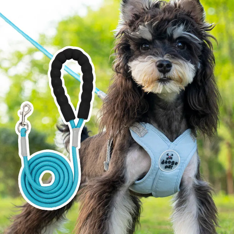 Polyester dog harness and lead set in matching colours with adjustable vest and hand-holding rope