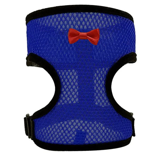 Poultry harness set with chicken vest, matching collar and 110cm traction rope for pet ducks and chickens